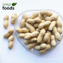 Chinese 100% Raw Processing Peanuts Inshell